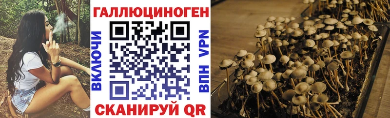 Псилоцибиновые грибы Psilocybine cubensis  Купить закладки  Сусуман 